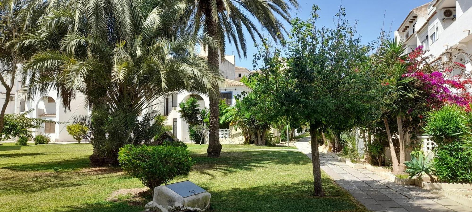 Apartment Los Locos Beach With Balcony And Wi-Fi Torrevieja Exteriör bild